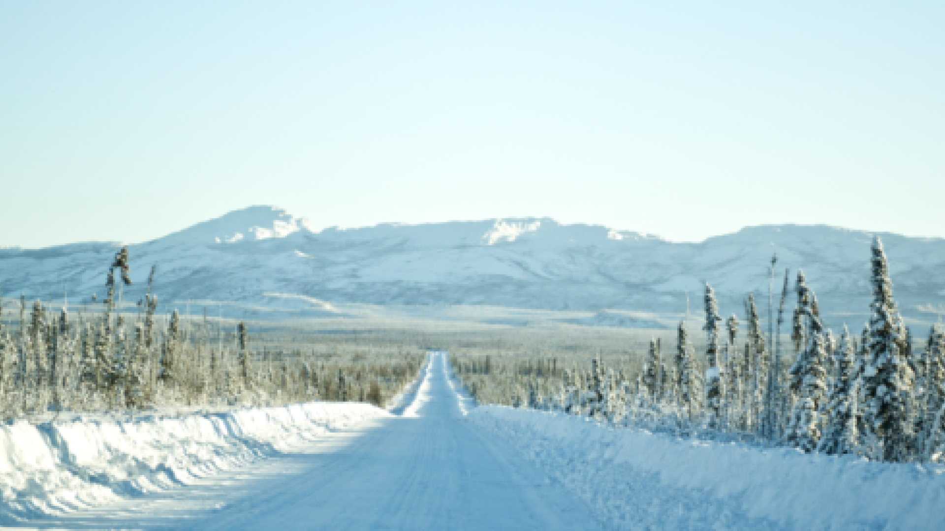 A snow-covered winter road with trees on both sides