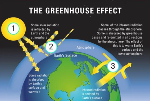 The Greenhouse Effect