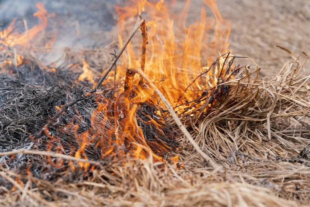 Fire ignites dry ground brush