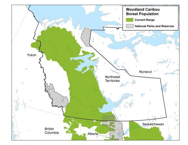 map of boreal caribou habitat in nwt