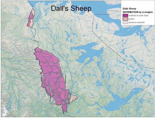 map of dall's sheep distribution 