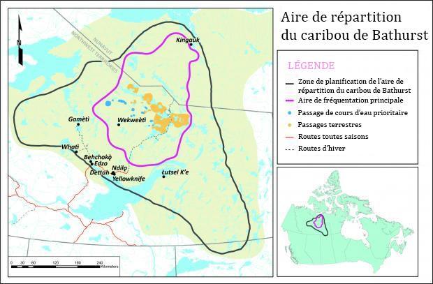 Carte caribou Bathurst