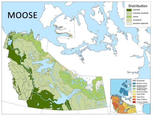 map of moose distribution in nwt