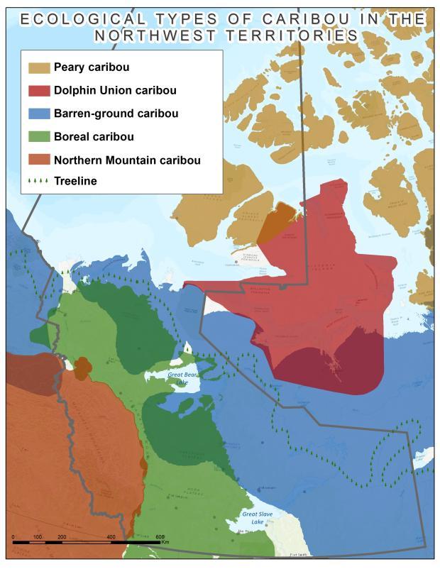 map of caribou habitats in NWT